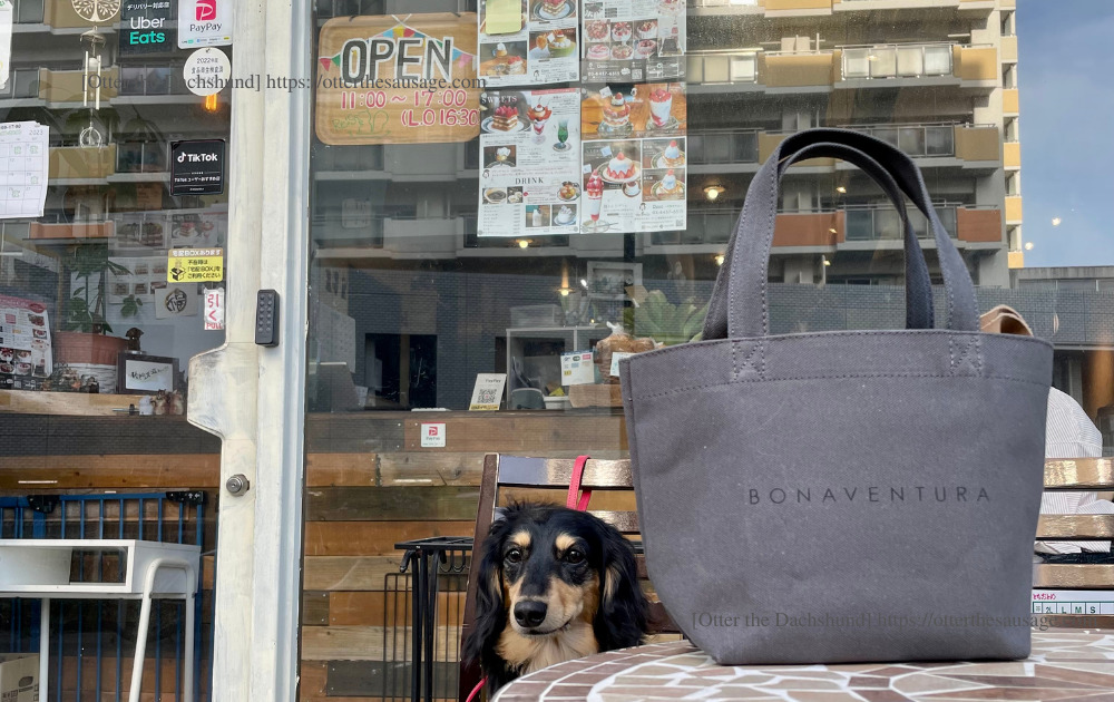 photo_dogfriendly-cafe_tokyo-takadanobaba_res cafe_Menu_犬とお出かけブログ_高田馬場_リスカフェ_オッター_BONAVENTURA